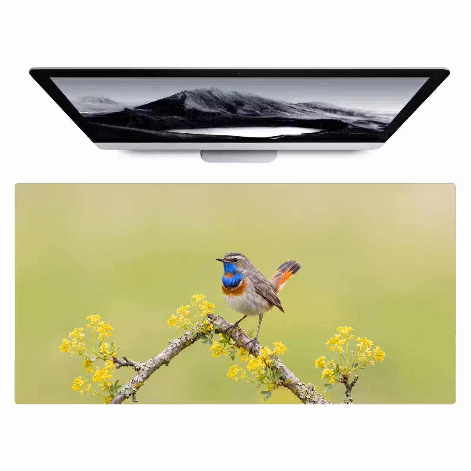 Bureau onderlegger - Vogel - Tak - Natuur - Kleurrijk — 1