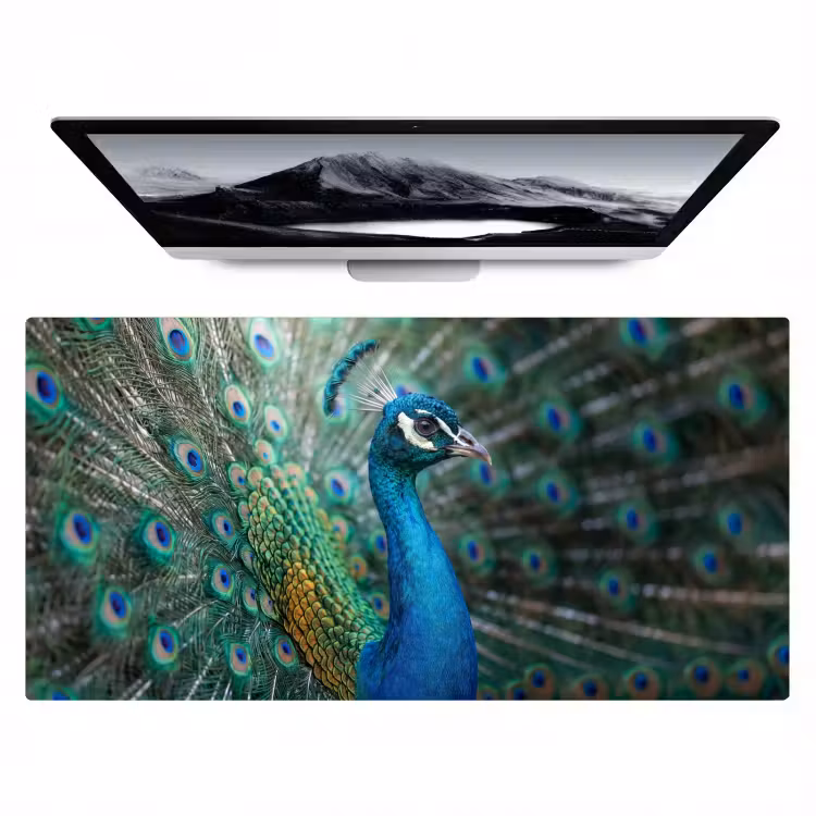 Bureau onderlegger - Pauw - Veren - Blauw — 1