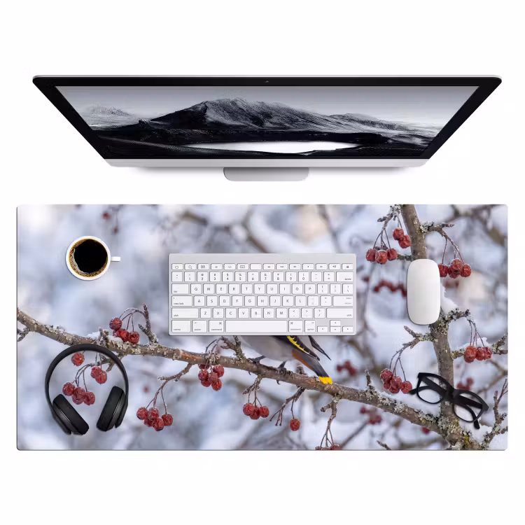 Bureau onderlegger - Pestvogel - Bessen - Winter - Natuur — 4