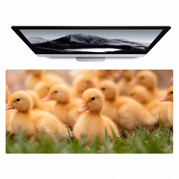 Bureau onderlegger - Pijltje - Eend - Natuur - Geel — 1