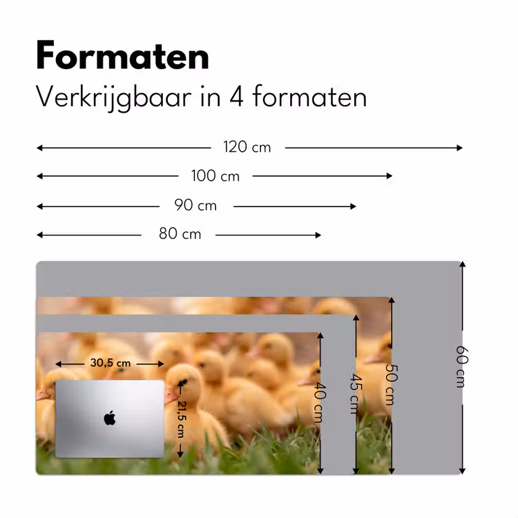 Bureau onderlegger - Pijltje - Eend - Natuur - Geel — 8