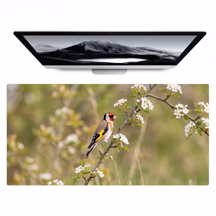 Bureau onderlegger - Putter - Bloesem - Lente - Natuur - Kleurrijk — 1