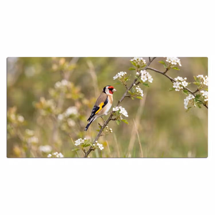 Bureau onderlegger - Putter - Bloesem - Lente - Natuur - Kleurrijk — 2
