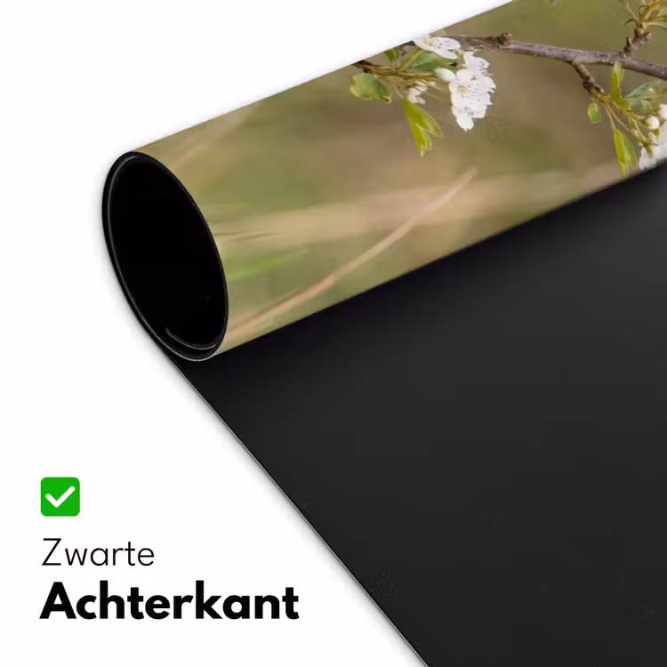Bureau onderlegger - Putter - Bloesem - Lente - Natuur - Kleurrijk — 5