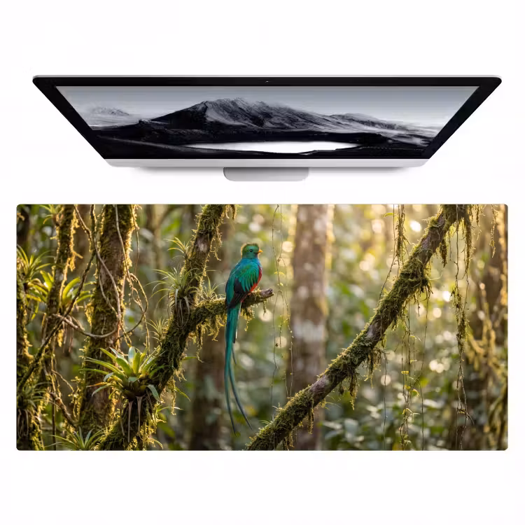 Bureau onderlegger - Quetzal - Jungle - Natuur - Groen — 1