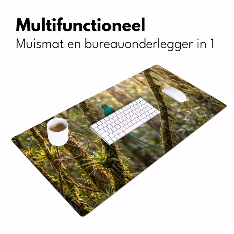 Bureau onderlegger - Quetzal - Jungle - Natuur - Groen — 7