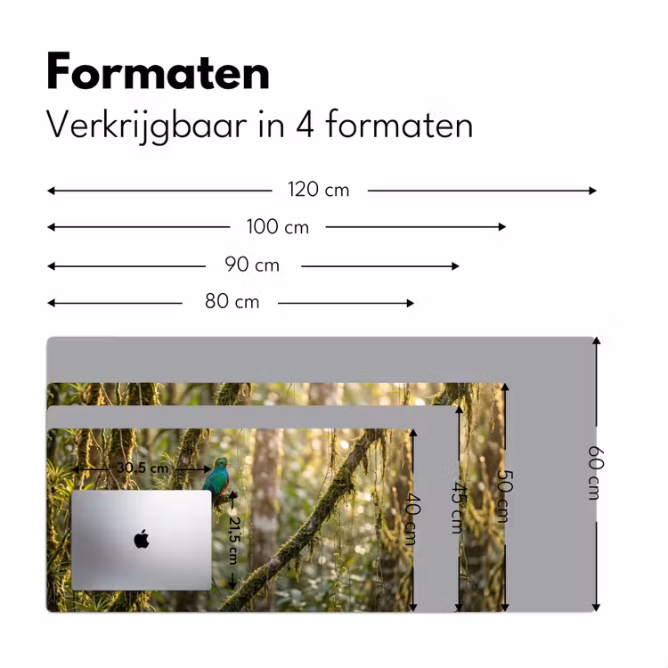Bureau onderlegger - Quetzal - Jungle - Natuur - Groen — 8