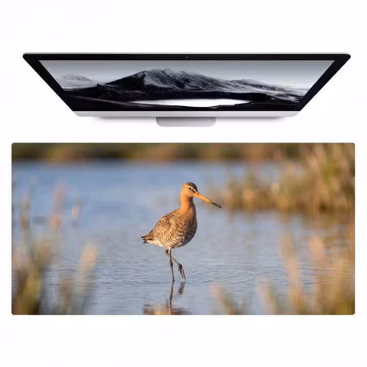 Bureau onderlegger - Vogel - Steltloper - Water - Natuur — 1