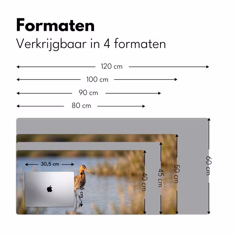 Bureau onderlegger - Vogel - Steltloper - Water - Natuur — 8