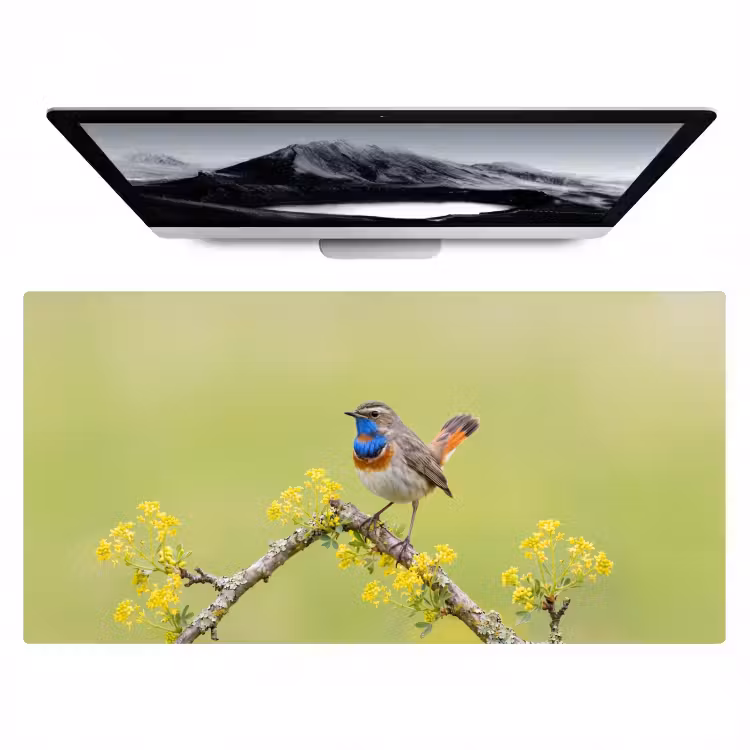 Bureau onderlegger - Vogel - Tak - Natuur - Kleurrijk — 1