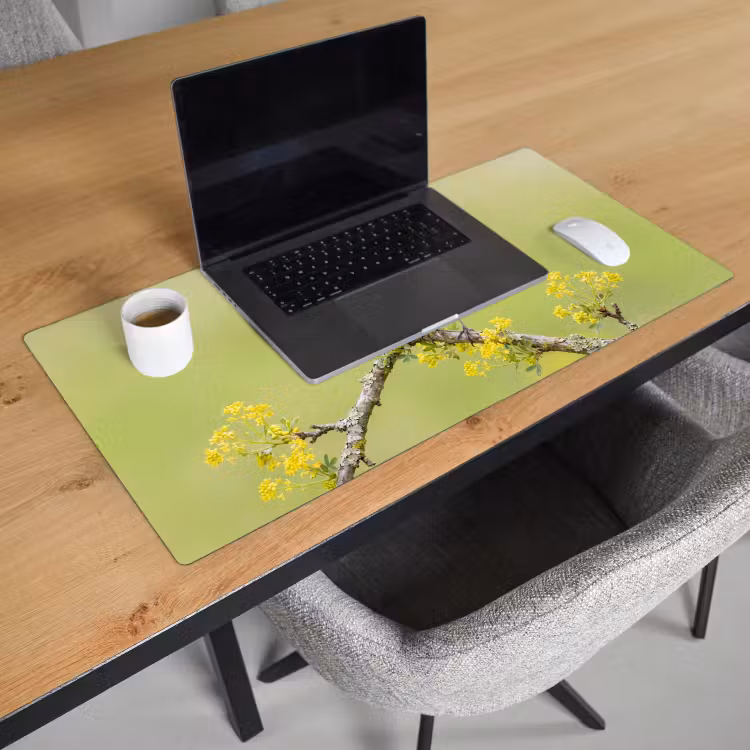 Bureau onderlegger - Vogel - Tak - Natuur - Kleurrijk — 3