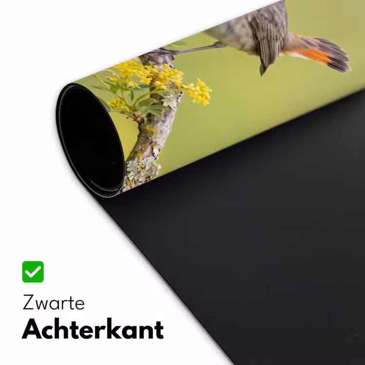 Bureau onderlegger - Vogel - Tak - Natuur - Kleurrijk — 5
