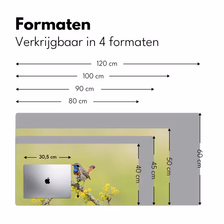 Bureau onderlegger - Vogel - Tak - Natuur - Kleurrijk — 8