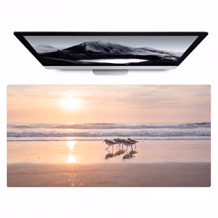 Bureau onderlegger - Zee - Vogels - Strand — 1