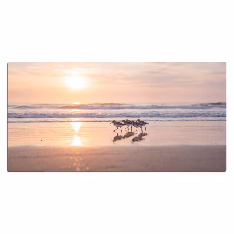 Bureau onderlegger - Zee - Vogels - Strand — 2