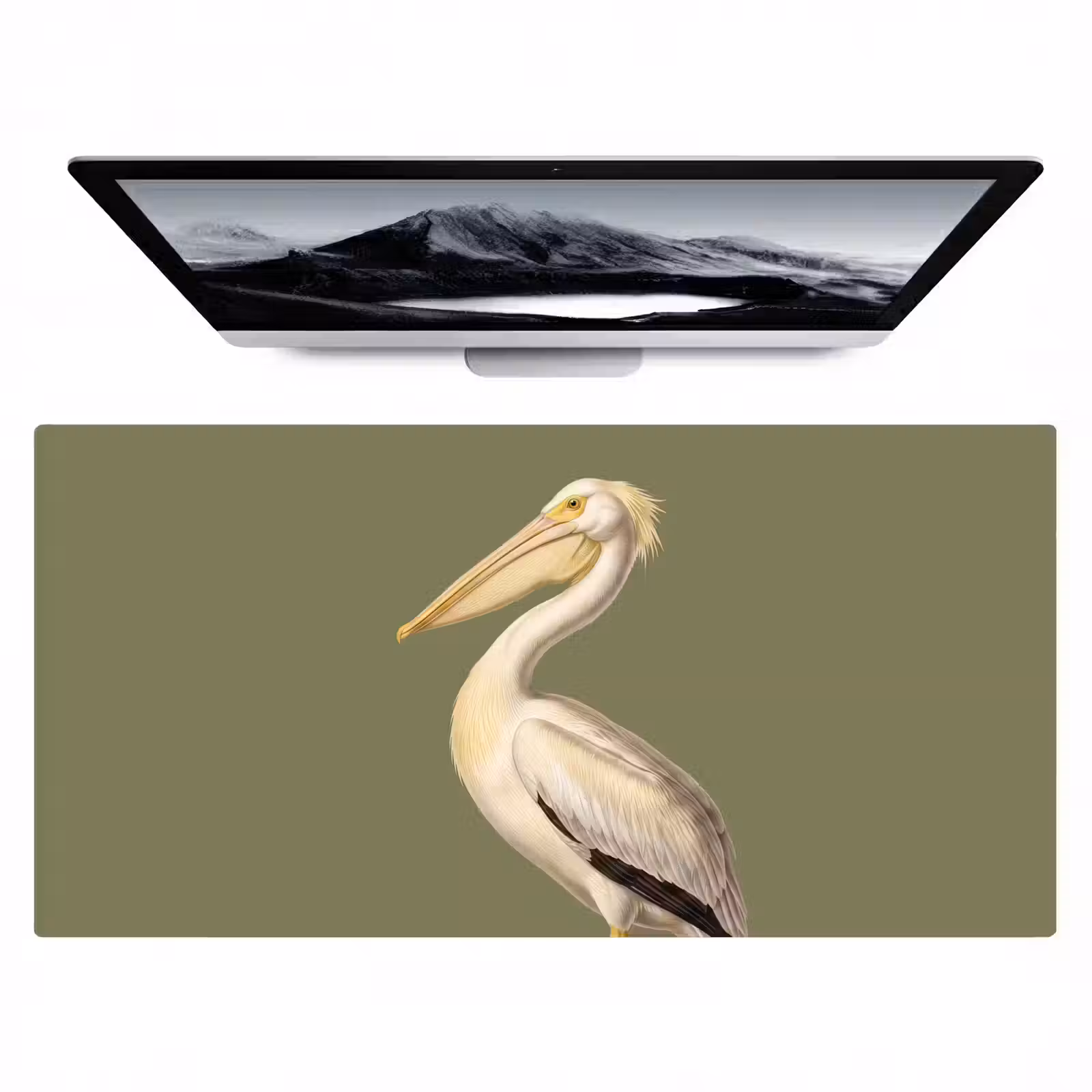 Bureau onderlegger - Pelikaan - Wit - Vogel - Klassiek - Natuur — 1