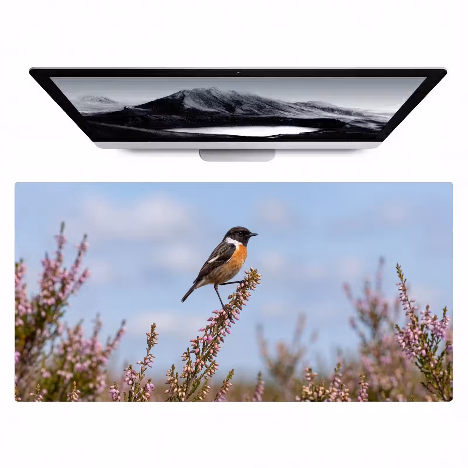 Bureau onderlegger - Roodborsttapuit - Heide - Paars - Natuur - Sfeervol — 1