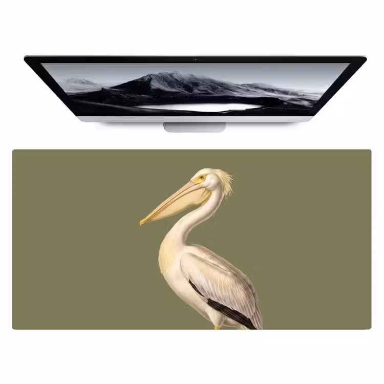 Bureau onderlegger - Pelikaan - Wit - Vogel - Klassiek - Natuur — 1