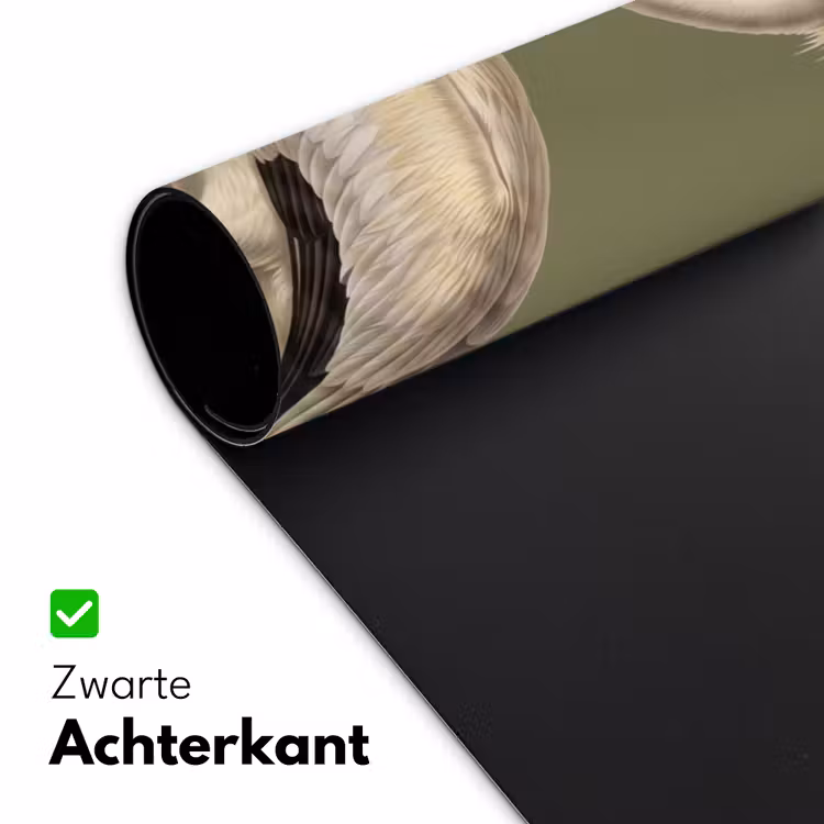 Bureau onderlegger - Pelikaan - Wit - Vogel - Klassiek - Natuur — 5