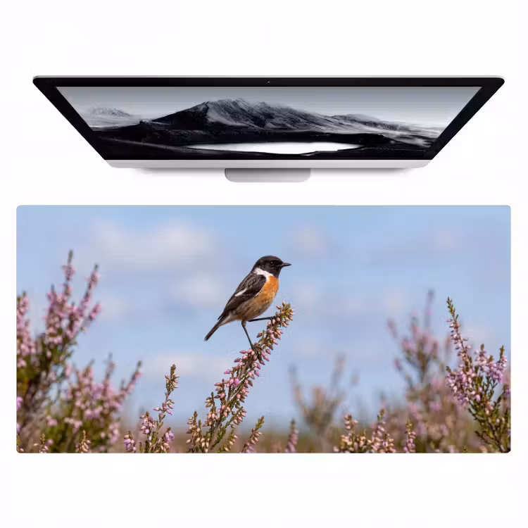 Bureau onderlegger - Roodborsttapuit - Heide - Paars - Natuur - Sfeervol — 1