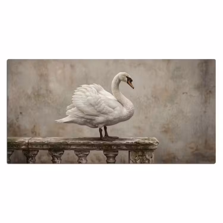 Bureau onderlegger - Zwaan - Elegant - Dieren - Wit — 2