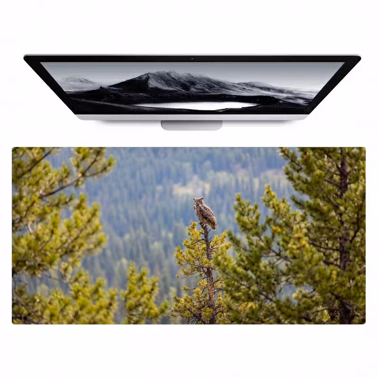 Bureau onderlegger - Uil - Oehoe - Bomen - Natuur — 1