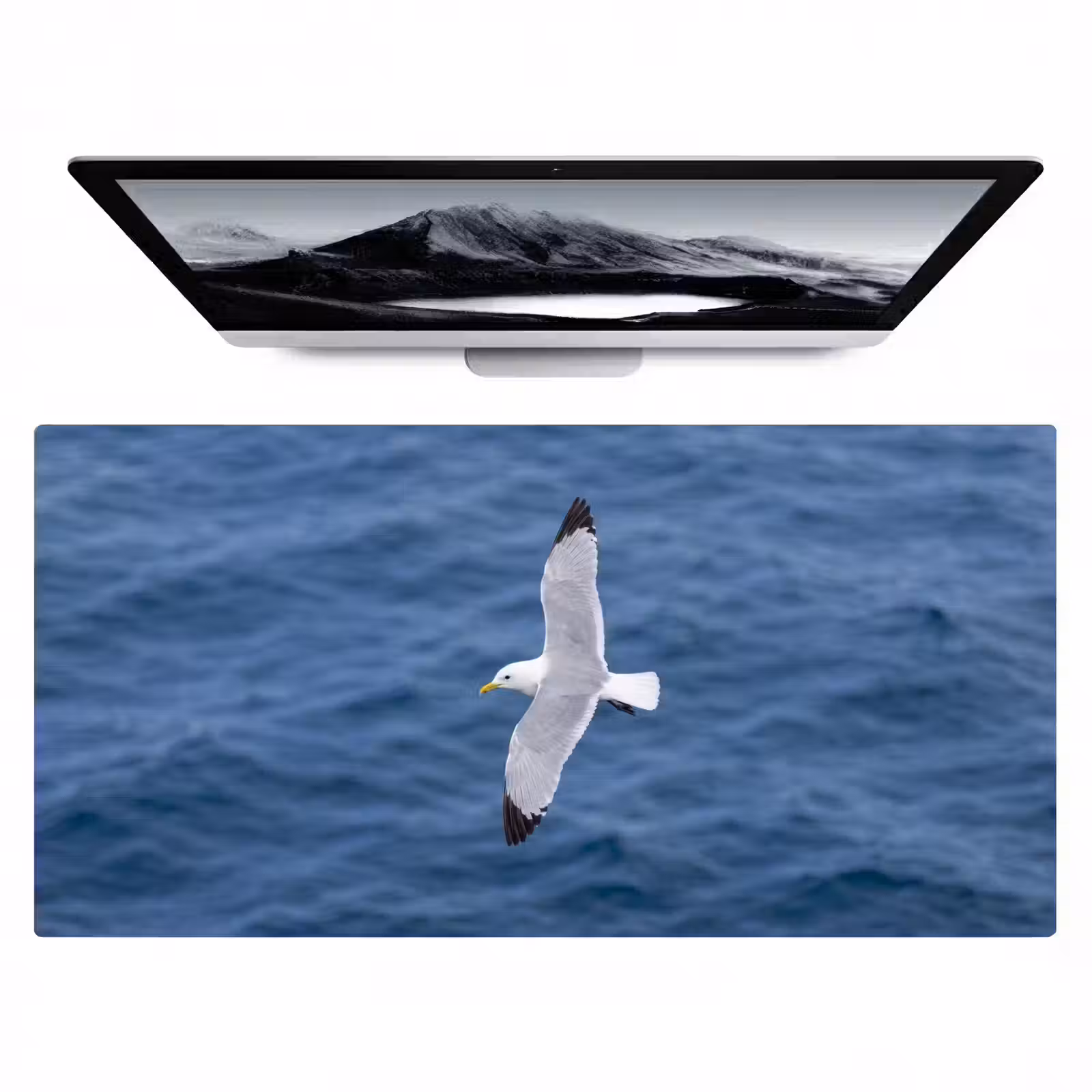 Bureau onderlegger - Zeemeeuw - Oceaan - Blauw — 1