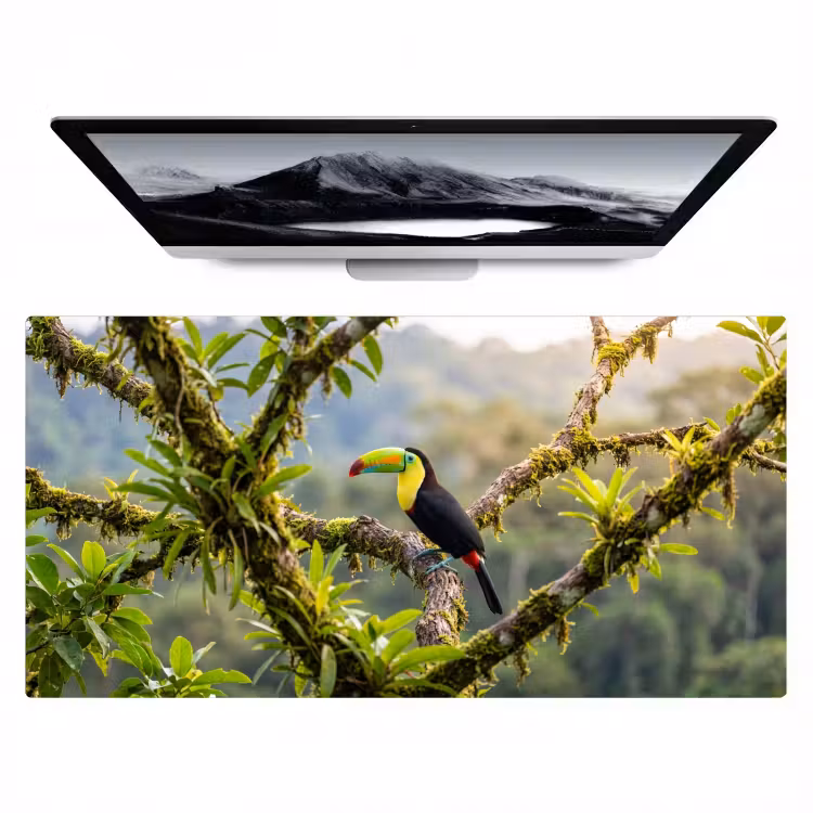 Bureau onderlegger - Toekan - Jungle - Natuur - Kleurrijk — 1