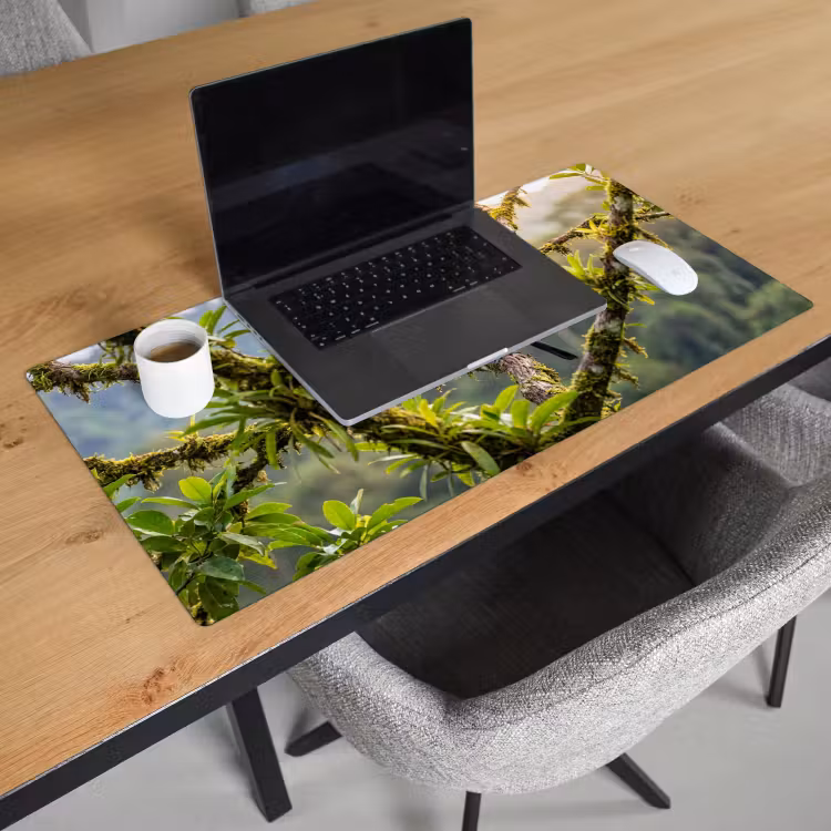 Bureau onderlegger - Toekan - Jungle - Natuur - Kleurrijk — 3