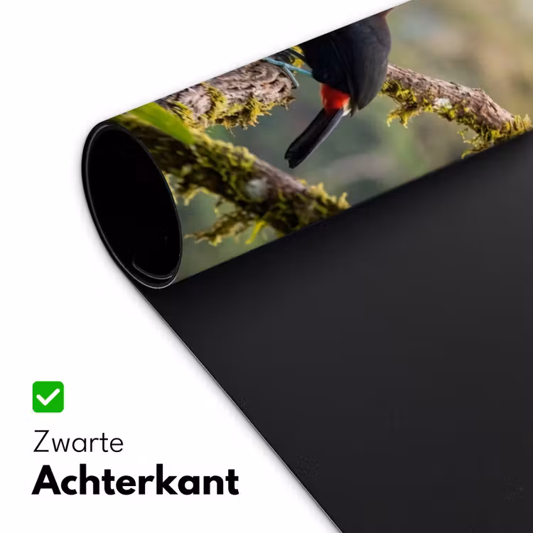 Bureau onderlegger - Toekan - Jungle - Natuur - Kleurrijk — 5