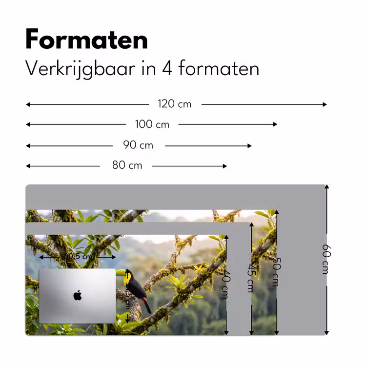 Bureau onderlegger - Toekan - Jungle - Natuur - Kleurrijk — 8