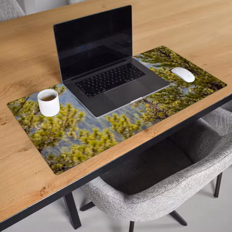 Bureau onderlegger - Uil - Oehoe - Bomen - Natuur — 3