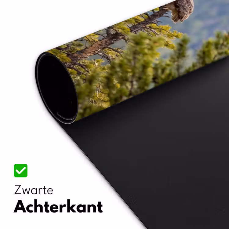 Bureau onderlegger - Uil - Oehoe - Bomen - Natuur — 5