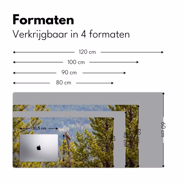 Bureau onderlegger - Uil - Oehoe - Bomen - Natuur — 8