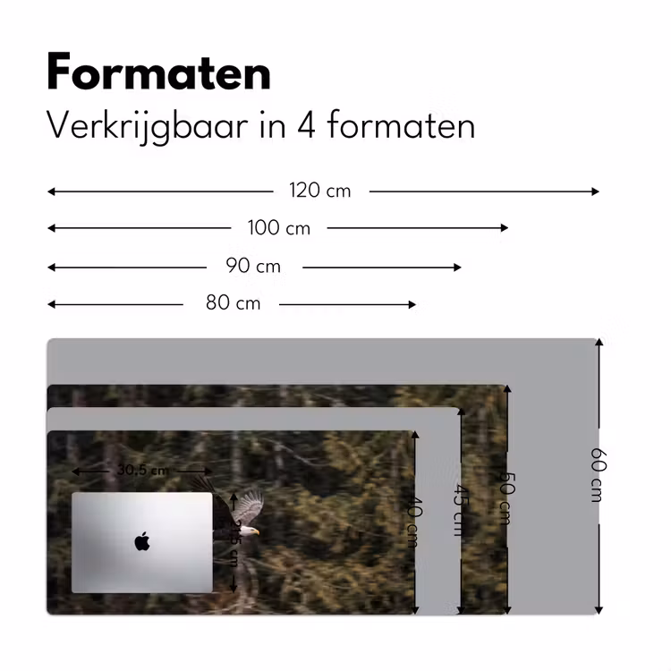 Bureau onderlegger - Zeearend - Vliegen - Bos - Natuur — 8
