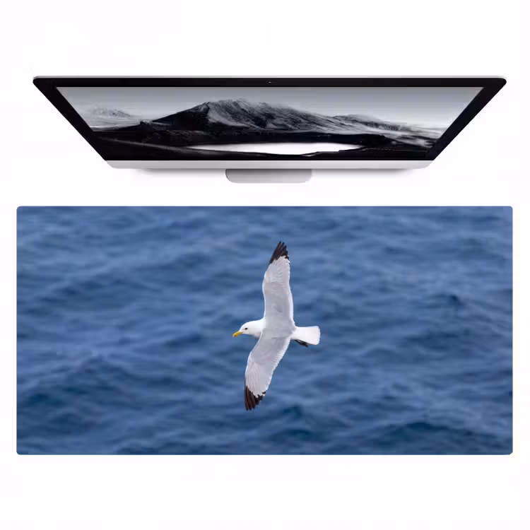 Bureau onderlegger - Zeemeeuw - Oceaan - Blauw — 1