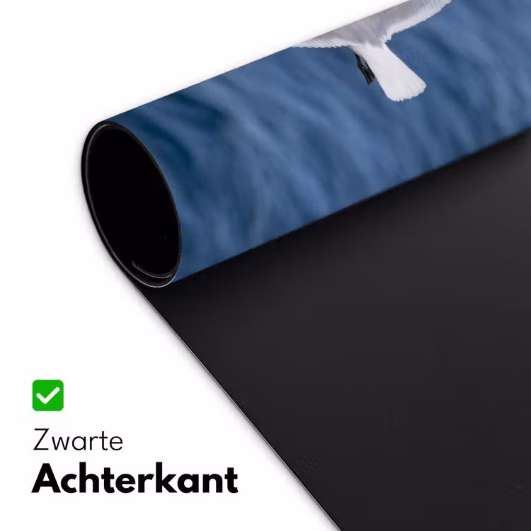 Bureau onderlegger - Zeemeeuw - Oceaan - Blauw — 5
