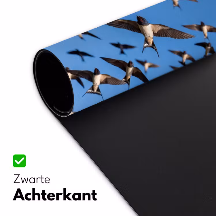 Bureau onderlegger - Zwaluwen - Vliegen - Blauw — 5