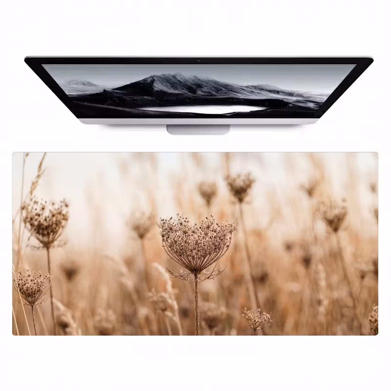 Bureau onderlegger - Schermbloem - Droogbloem - Winter - Beige - Minimalistisch — 1
