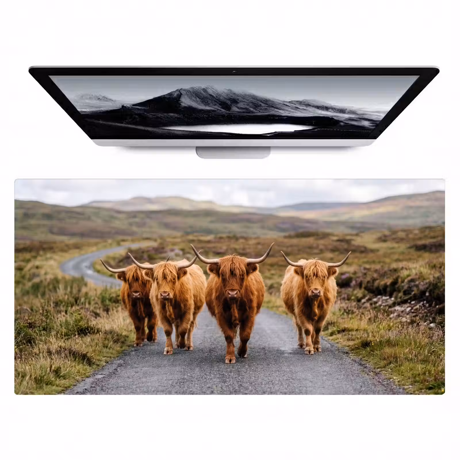 Bureau onderlegger - Schotse Hooglanders - Weg - Landschap - Kudde — 1