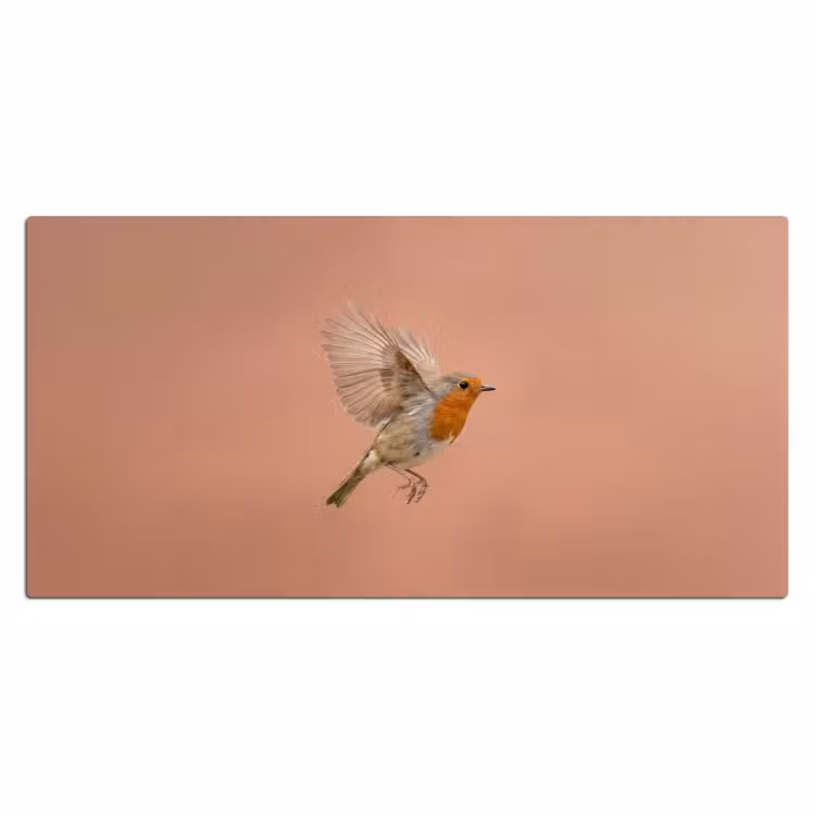 Bureau onderlegger - Roodborst - Natuur - Roze — 2