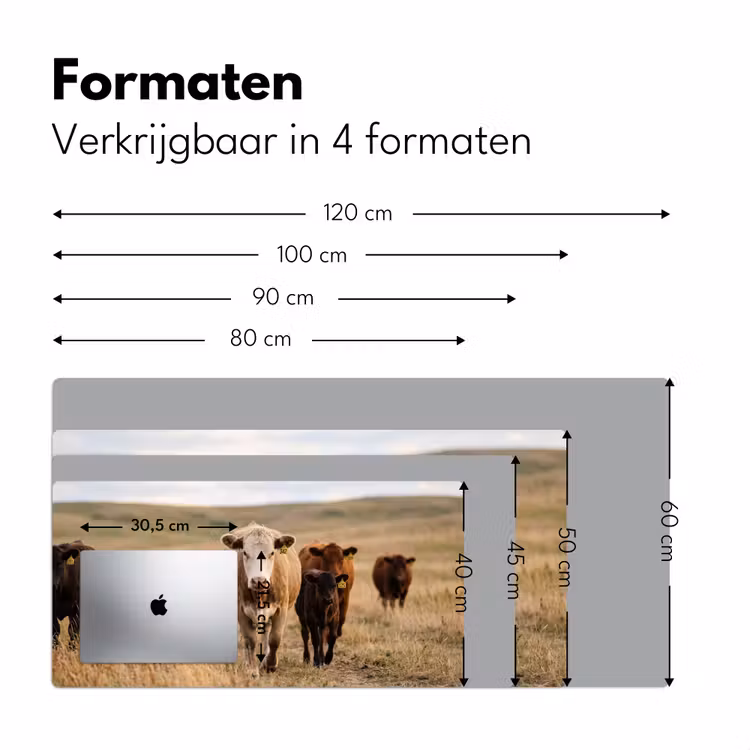 Bureau onderlegger - Runderen - Kudde - Landschap - Weide - Rustig — 8