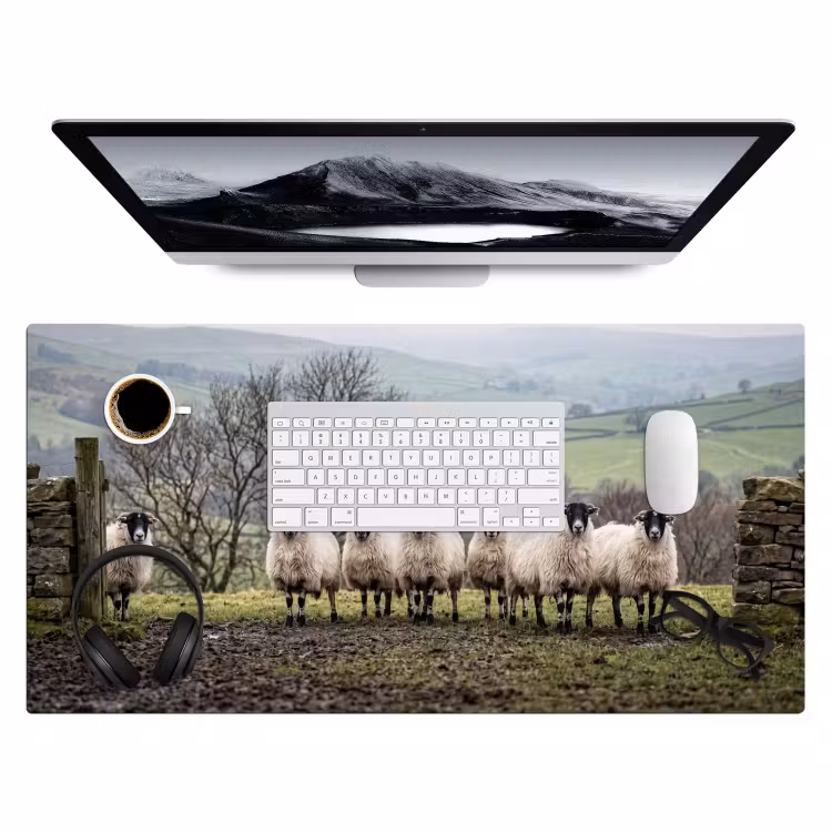 Bureau onderlegger - Schapen - Rij - Weide - Dieren - Platteland — 4