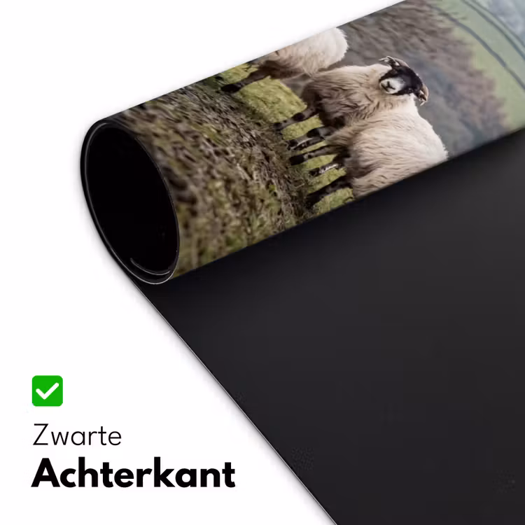 Bureau onderlegger - Schapen - Rij - Weide - Dieren - Platteland — 5