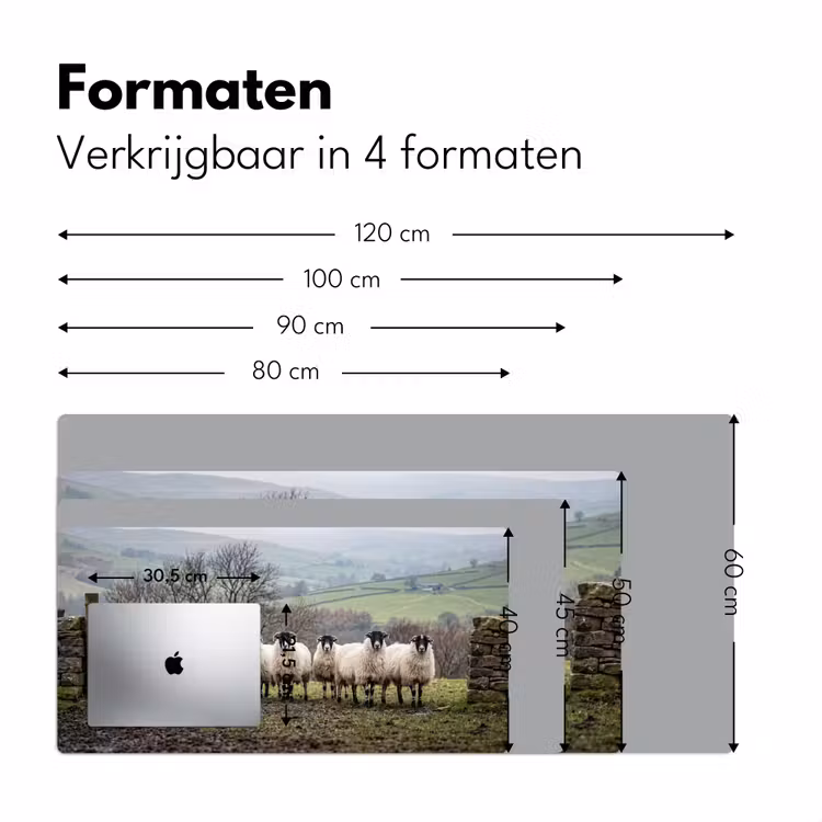 Bureau onderlegger - Schapen - Rij - Weide - Dieren - Platteland — 8