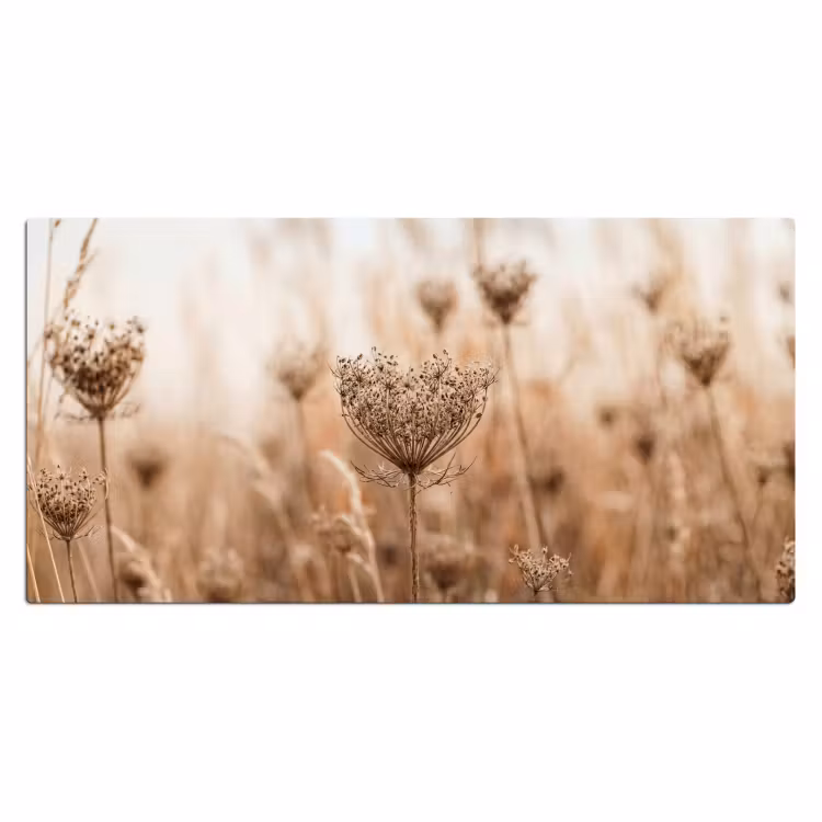 Bureau onderlegger - Schermbloem - Droogbloem - Winter - Beige - Minimalistisch — 2