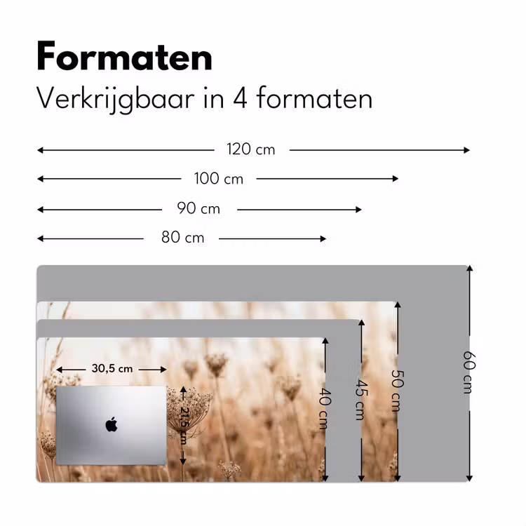 Bureau onderlegger - Schermbloem - Droogbloem - Winter - Beige - Minimalistisch — 8