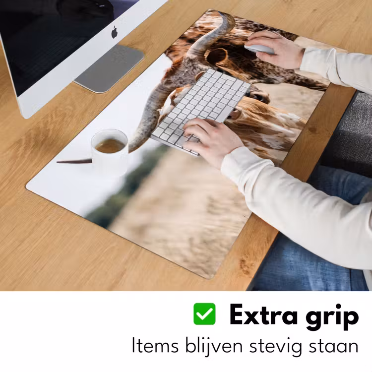 Bureau onderlegger - Texas Longhorn - Kalf - Weide - Dieren — 6