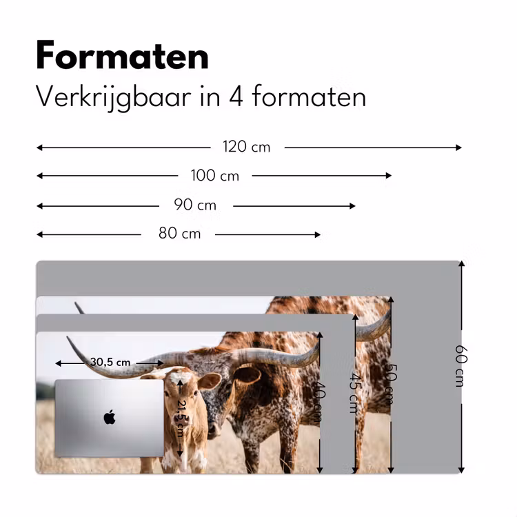 Bureau onderlegger - Texas Longhorn - Kalf - Weide - Dieren — 8