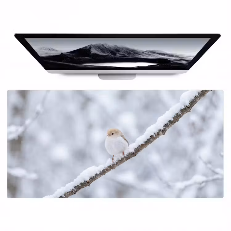 Bureau onderlegger - Vogeltje - Sneeuw - Tak - Winter - Zacht — 1